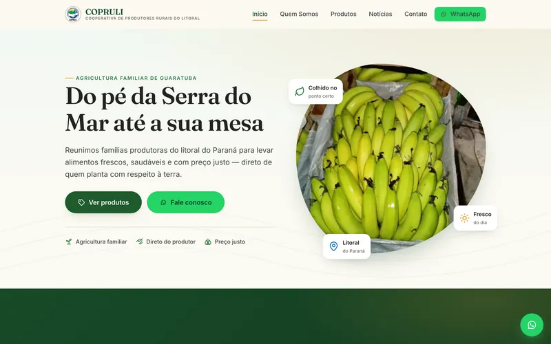 Tela inicial do site COPRULI